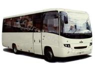  Запчасти для двигателя MAЗ 256