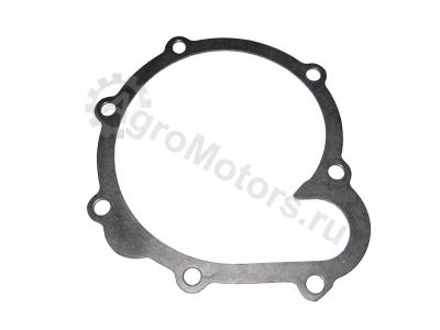 04198968 Прокладка водяного насоса Вид 1