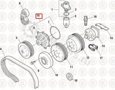 1830606C94 Насос системы охлаждения Вид 2