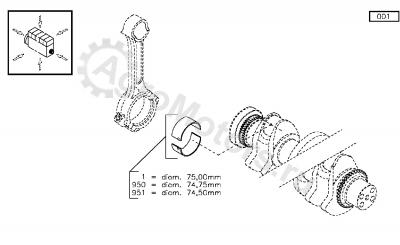 02931752 Вкладыш шатунный Вид 2