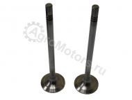 030520734000 Впускной клапан