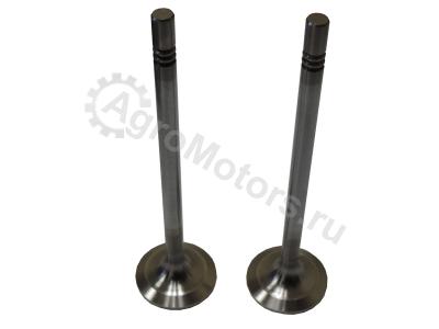 030520734000 Впускной клапан Вид 1