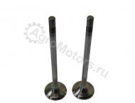 030520734001 Выпускной клапан