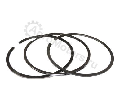 800034410000 Набор колец (поршень) Вид 2