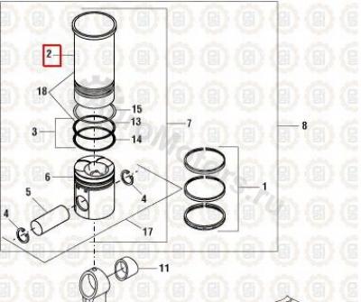 1841326C1 Гильза Вид 1