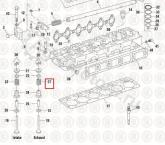 NAV1825540C1 Пружина выпускного клапана