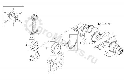 04270259 Вкладыш шатунный Вид 1