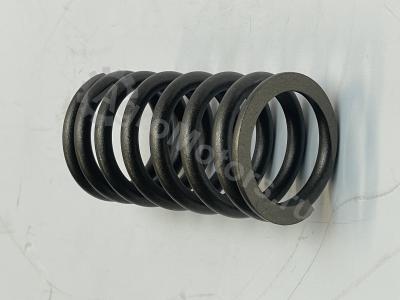 04200150 Пружина клапана Вид 4 04200150 Пружина клапана Вид 4