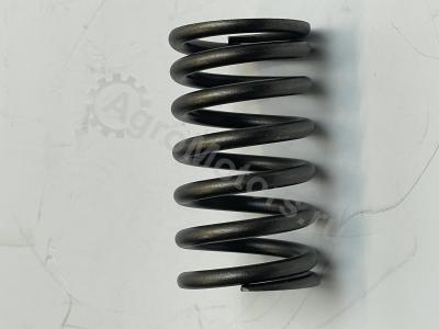 04200150 Пружина клапана Вид 5 04200150 Пружина клапана Вид 5