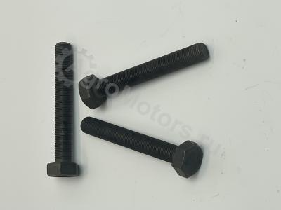 04204188 Болт маховика Вид 4