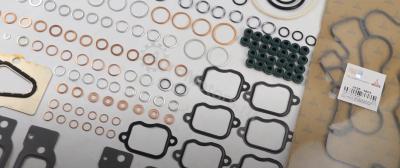 02937844 Набор прокладок TCD 6.1 L06 4V Fendt Вид 2