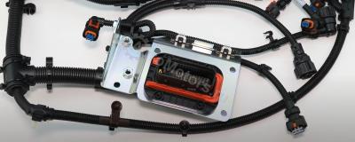 04211145 ЖГУТ ПРОВОДОВ Вид 7