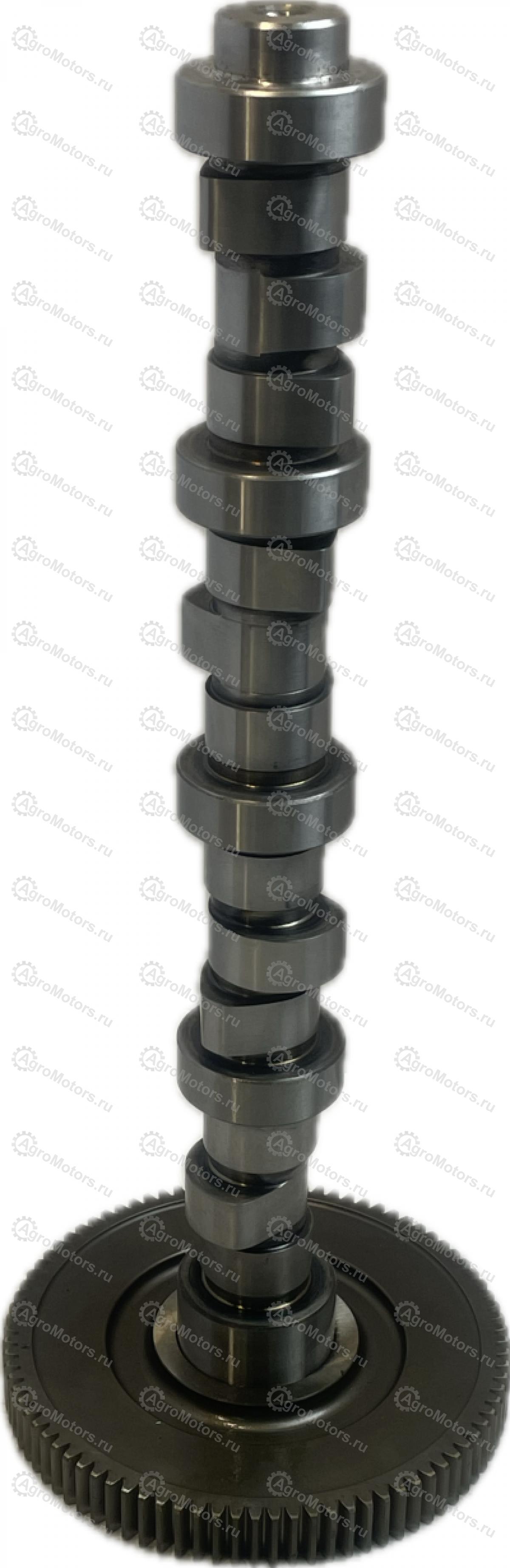 04258462 Распредвал  Вид 4