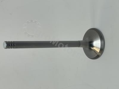 04280048 Впускной клапан Вид 2