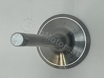 04280048 Впускной клапан Вид 3