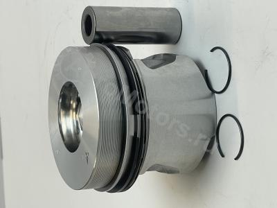 04281447 Поршень (поршневые кольца, стопор, палец) Вид 7