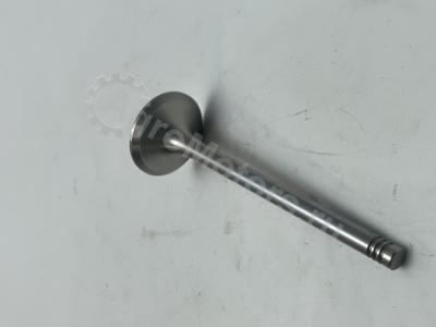 04283381 Клапан выпускной Вид 4