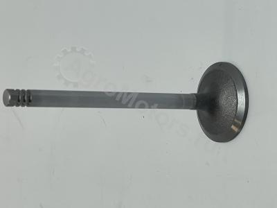 04284042 Клапан впускной Вид 1