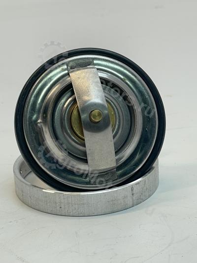 7380833 Термостат 79с Вид 9 7380833 Термостат 79с Вид 9