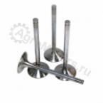 10120988 ВЫПУСКНОЙ КЛАПАН