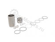 DZ114389 Цилиндро-поршневая группа