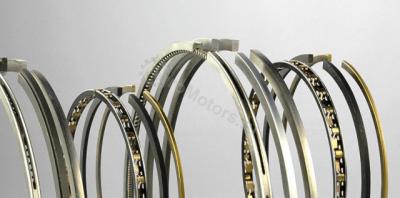 DZ10083 Кольца поршневые Вид 1