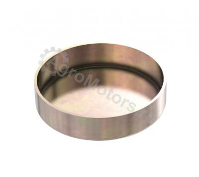 R82007 Заглушка распредвала Вид 1