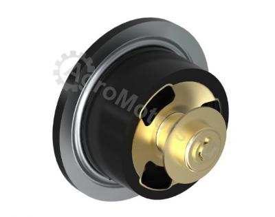 DZ100553 Термостат Вид 2