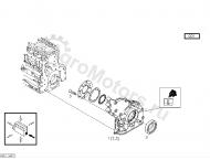04253472 Насос масляный