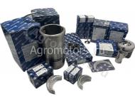 U954200400000 Ремкомплект двигателя FENDT 936