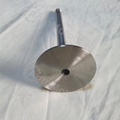 04170898 Впускной клапан Вид 4 04170898 Впускной клапан Вид 4