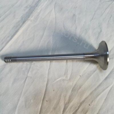 04170899 Клапан выпускной Вид 5