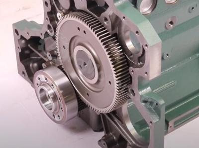 04282829 Шорт Блок BF4M1013 Вид 1