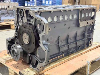 04282826 Шорт Блок BF6M1013FC Вид 1