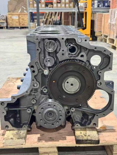 04282826 Шорт Блок BF6M1013FC Вид 10