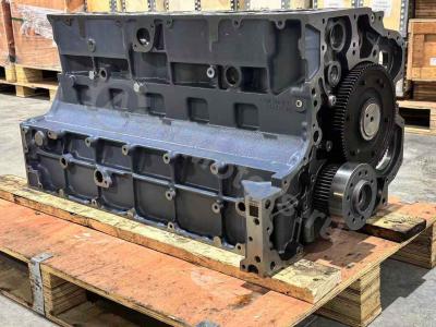 04282826 Шорт Блок BF6M1013FC Вид 13