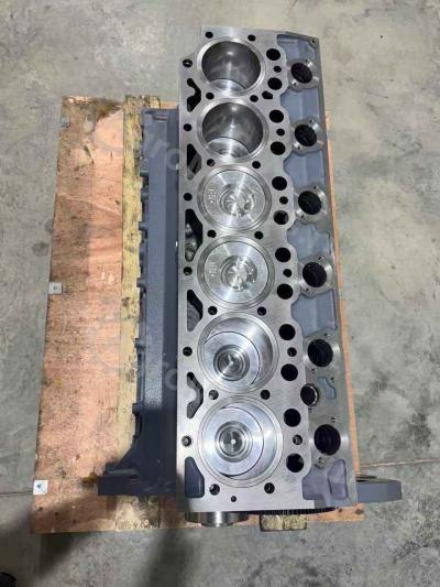 04282826 Шорт Блок BF6M1013FC Вид 15