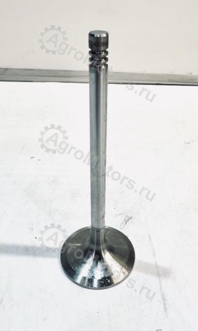 04226562 ВПУСКНОЙ КЛАПАН Вид 4