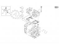 04280818 Прокладка головки блока цилиндров 
